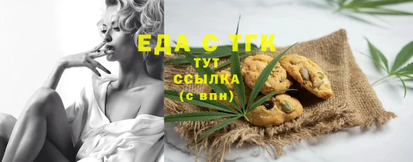 spice Михайлов