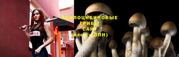 стаф Михайловск