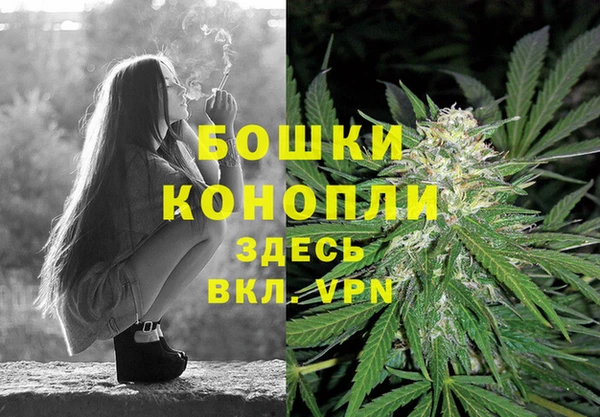spice Михайлов