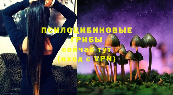 spice Михайлов