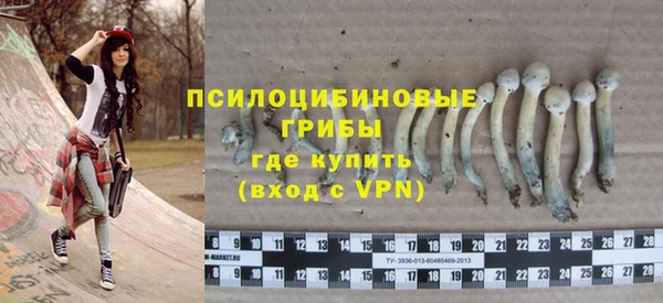 стаф Михайловск