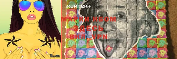 стаф Михайловск
