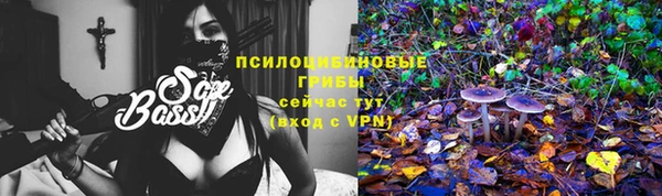 spice Михайлов