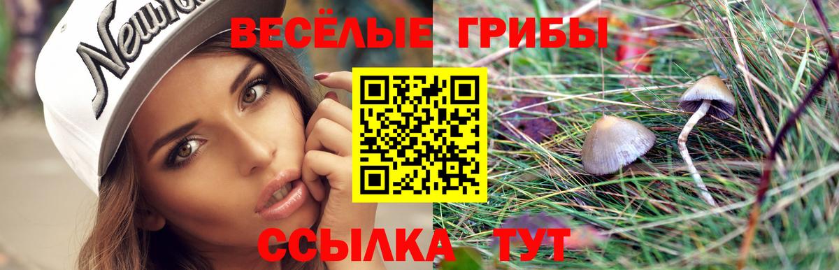 Галлюциногенные грибы Cubensis  цена наркотик  Тольятти  Вход с VPN 